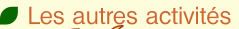 wp16d56242.png