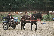 wp865ef263.jpg