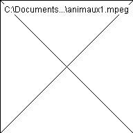 wpc3717d8d.png