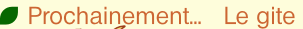 wpe61f3d94.png